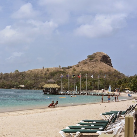 Meet your Posher, Lizette - Picture 1 of 1